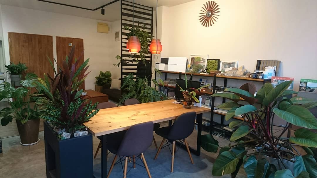 ルーセント 京都府福知山市

植物に囲まれたこのオフィスはとても心地よい

この空間は 私に 元気も、休息も、励みも、癒しも、想像力も、インスピレーションも与えてくれる

植物の力って凄い

こんな職場が増えるように

オフィスのグリーンデザインもご提案させていただいてます