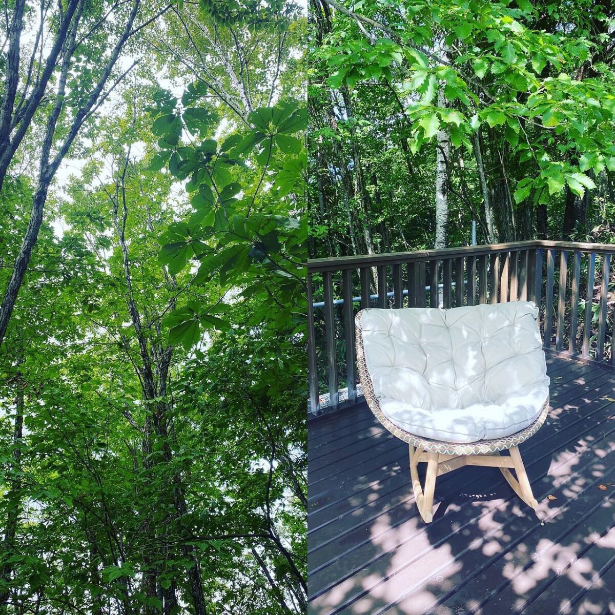 ⁡
【納品事例】　
⁡
森林の中を気持ちいい風を感じながら納品をしてきました。　
DEDONのエンブレイスロッキングチェアーをデッキの上に。　
⁡
お色はショールームと同じチェスナッツです。
こんな気持ちのいいデッキの上でこの椅子に座って空を仰い
だら、思わず深呼吸しかでないほどのリラックス感です。　
⁡
これからの季節は、本当に気持ちがよさそう。　
ご家族の皆様のくつろぎスポットになりますように。
⁡
⁡