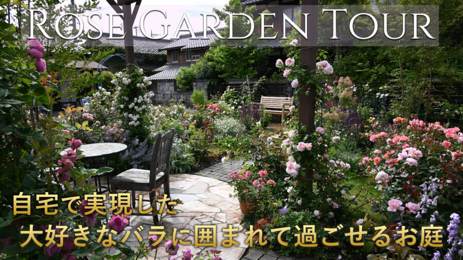 自宅で実現した大好きなバラに囲まれて過ごせる癒しのお庭