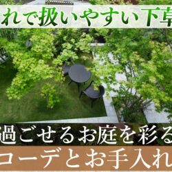 ＼本日19時🍃最新動画公開／