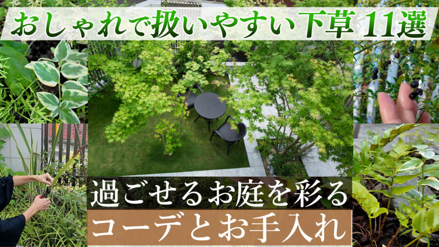 過ごせるお庭を彩る管理がラクでおしゃれな下草のご紹介
