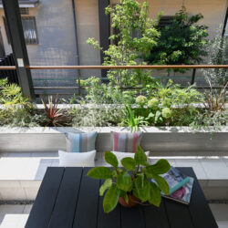 庭が使われない原因は9割「居場所不足」　眺める外構から“過ごせる庭”に変える設計法