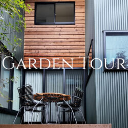 新しい動画が配信されました！