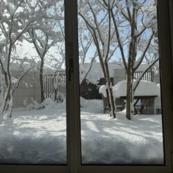 雪が降る季節こそ庭を楽しむ。冬の庭時間を豊かにする工夫