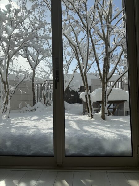 雪が降る季節こそ庭を楽しむ。冬の庭時間を豊かにする工夫