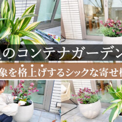 本日19時🆕最新動画公開