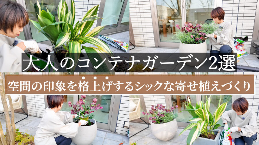 【大人のコンテナガーデン2選】空間の印象を格上げするシックな寄せ植えづくり