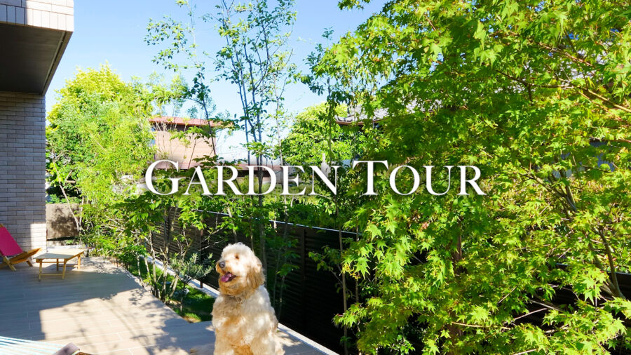 【ガーデンツアー】緑に包まれる日常｜愛犬と楽しむ7年目のガーデンライフ